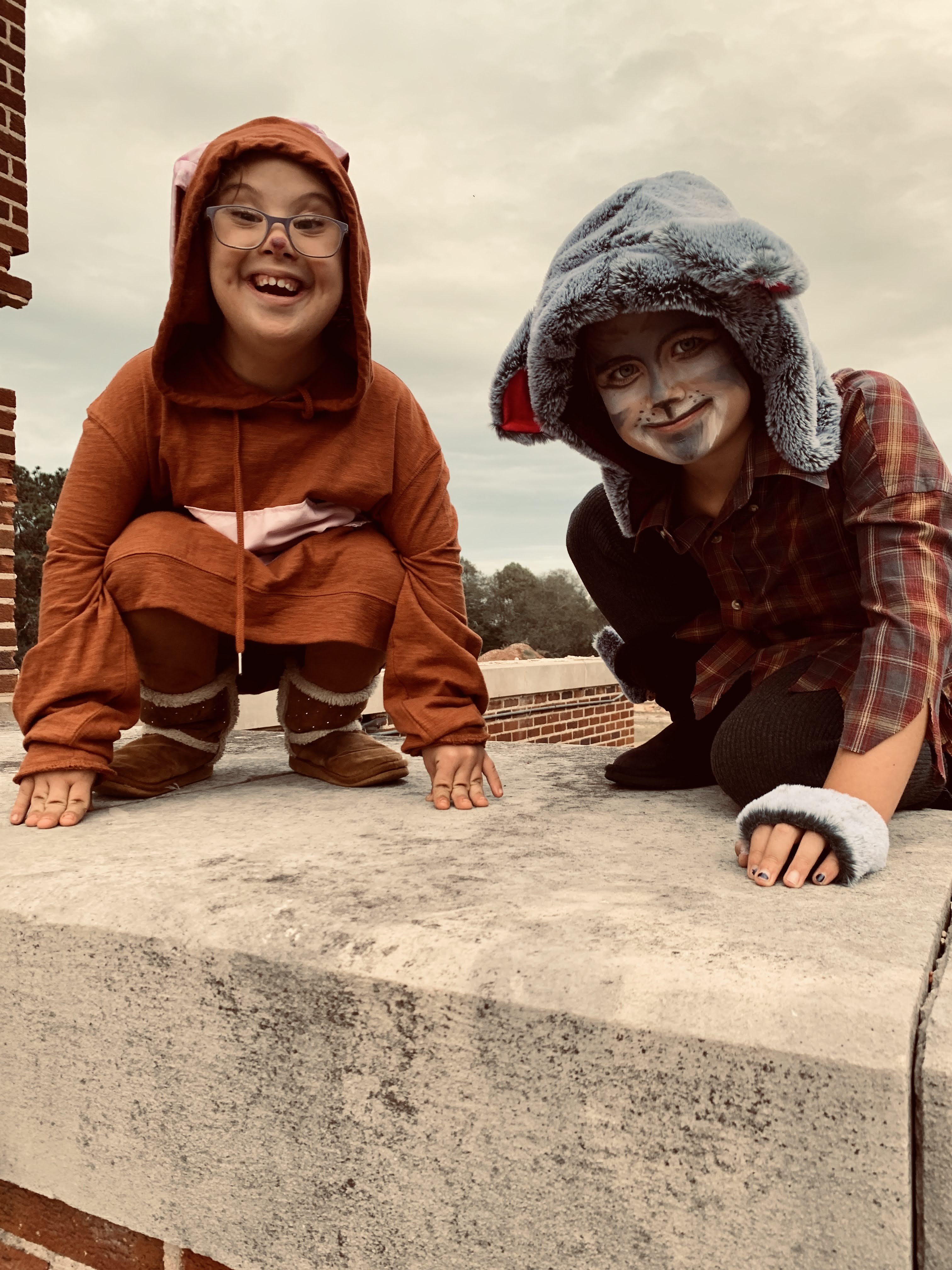 pumpkins